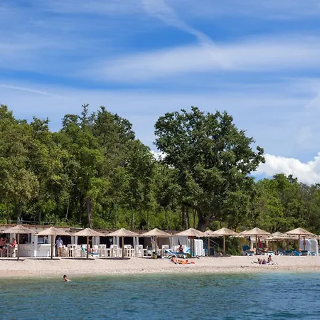 Palm Garden * 브르사르